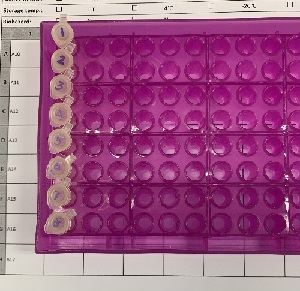 ga-do-labelsample_300x291