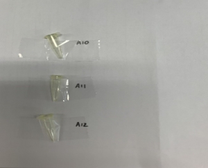 ga-donot-samplesid_653x530