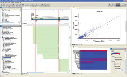 Screenshot of RNASeq analysis in CLC Genomics Workbench