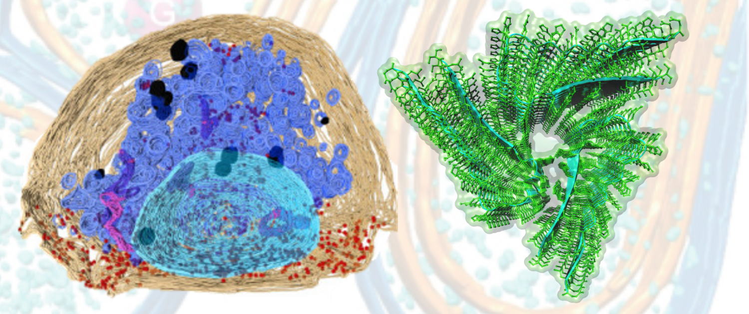 Home Page cryoem 1500x630a