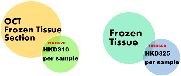 All prep kit promotion 2022 (07-Jun)