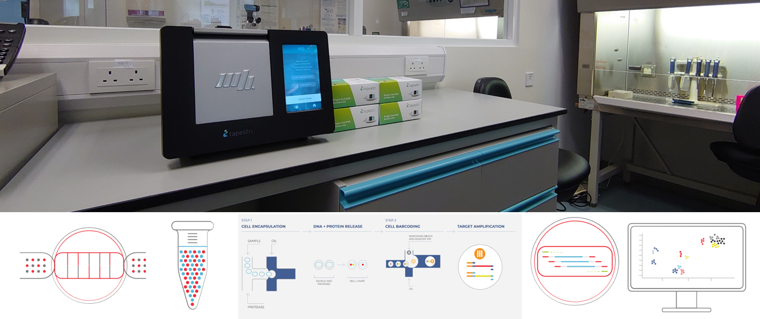 website slideshow 221212 MB