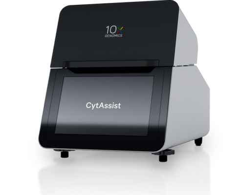 SingleCell 10X Spatial Visium CytAssist