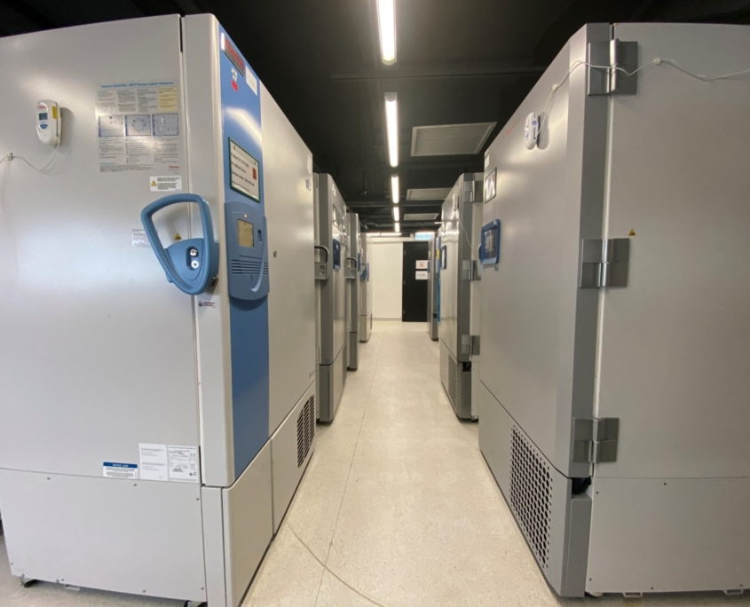 Biobank Hing Wai Centre 2