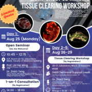Lightsheet tissue clearing workshop