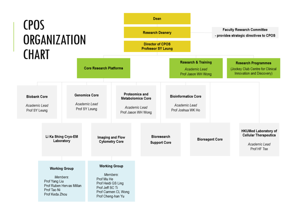 CPOS Organization Chart